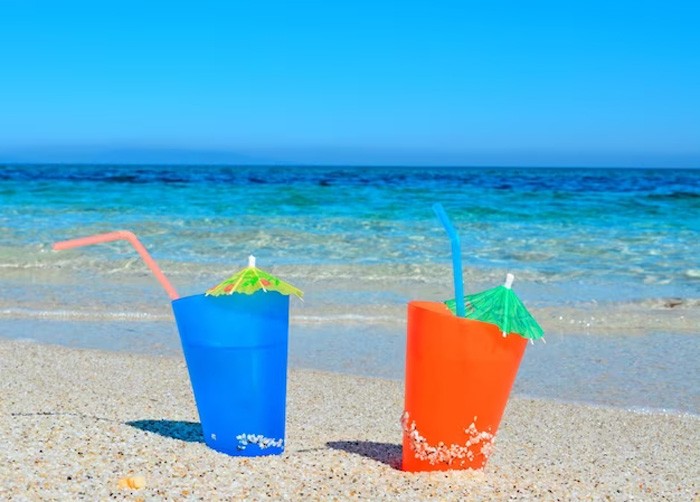 Profitez de votre journée à la plage avec la vaisselle jetable et les emballages alimentaires d'Atlas Trading Group !